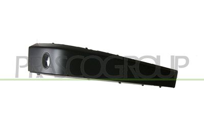 ZIER-/SCHUTZLEISTE STOßFäNGER PRASCO BM0971263