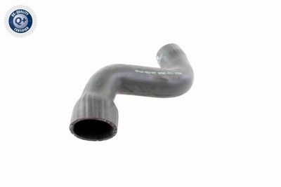 FURTUN EAR SUPRAALIMENTARE VAICO V103826 8