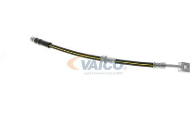 FURTUN FRANA VAICO V404110 43