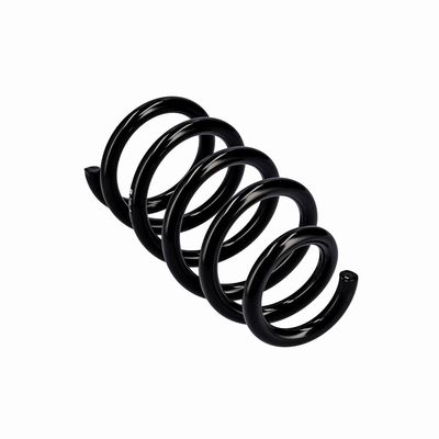 ARC SPIRAL EIBACH R10603 11
