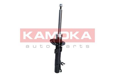 Shock Absorber 2000254