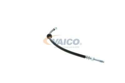 FURTUN FRANA VAICO V204107 35