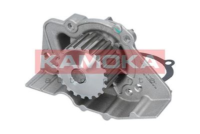 Water Pump, engine cooling T0084