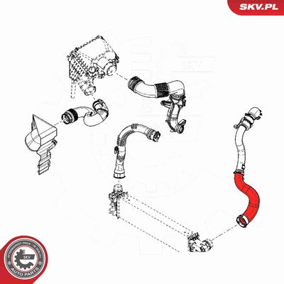 FURTUN EAR SUPRAALIMENTARE ESEN SKV 54SKV051 3