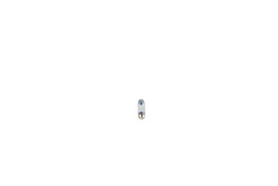 BEC INCANDESCENT BOSCH 1987301509 1