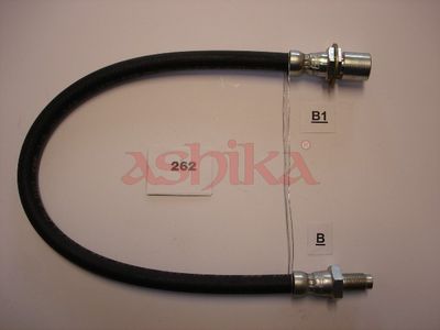 Halter, Bremsschlauch