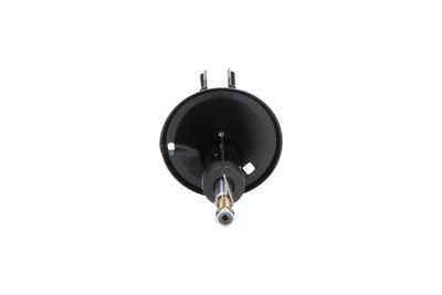 AMORTIZOR Kavo Parts SSA10081 2