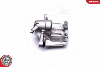 Brake Caliper 46SKV531