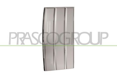 ZIER-/SCHUTZLEISTE TüR