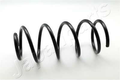 Suspension Spring ZC3420C