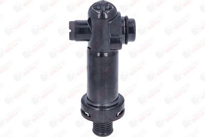 FLANSA LICHID RACIRE BIRTH 81773 4