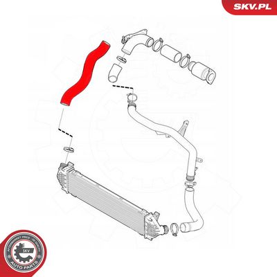 Kompresoriaus padavimo žarna
