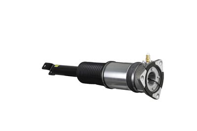 LUFTFEDERBEIN Arnott AS2958 43