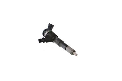 INJECTOR REMANTE 002003001494R 55