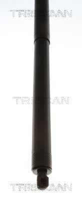 TRISCAN - Vzpera kufra FORD , 8710 16316