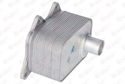 RADIATOR ULEI ULEI MOTOR BIRTH 8961 11
