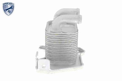 RADIATOR ULEI ULEI MOTOR VEMO V40602105 8