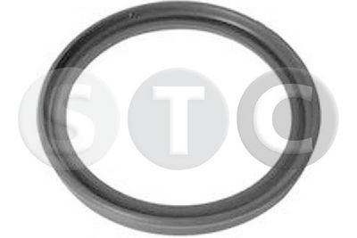 Pierścień uszczelniający, elast. przewód pow. do turbiny STC T479284