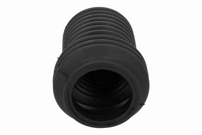 ANSAMBLU BURDUF DIRECTIE ACKOJA A260050 4