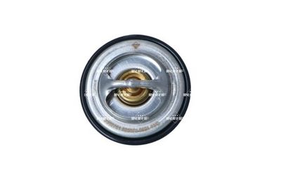 Thermostat, coolant 725072