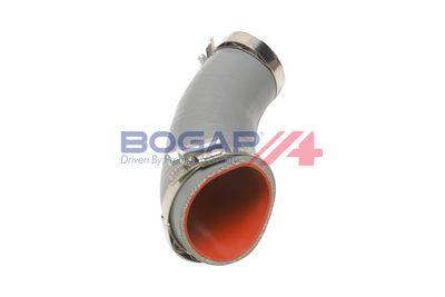 FURTUN EAR SUPRAALIMENTARE BOGAP F1711103 2