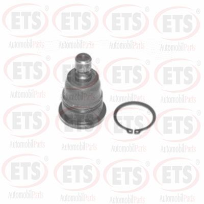 Шарнири ETS 54.BJ.485