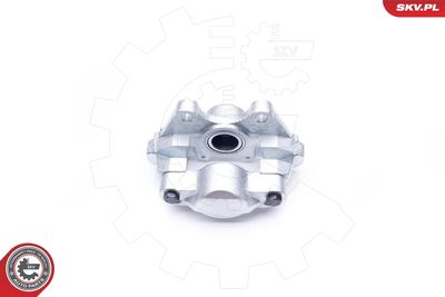 Brake Caliper 34SKV904