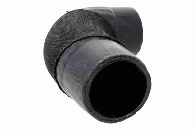 FURTUN EAR SUPRAALIMENTARE ACKOJA A260541 5