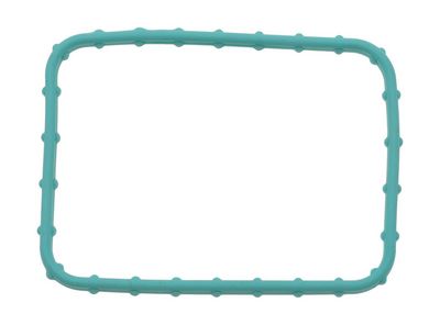 GARNITURA CARCASA TERMOSTAT