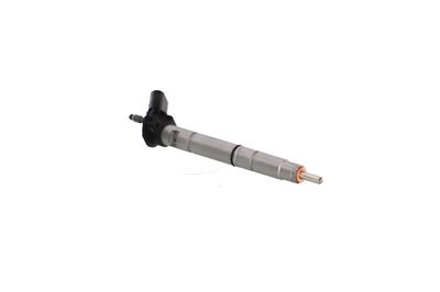 INJECTOR REMANTE 002003002365R 48