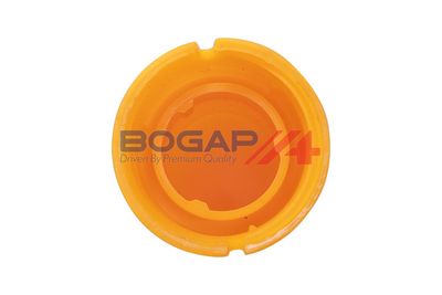 PALNIE JOJA ULEI BOGAP A1421103 1