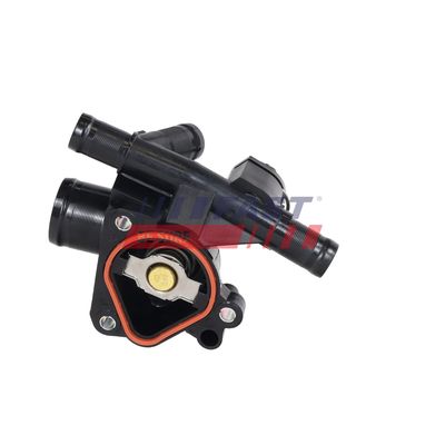 TERMOSTAT LICHID RACIRE FAST FT58191 13