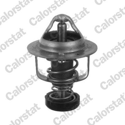 CALORSTAT by Vernet Thermostat, Kühlmittel