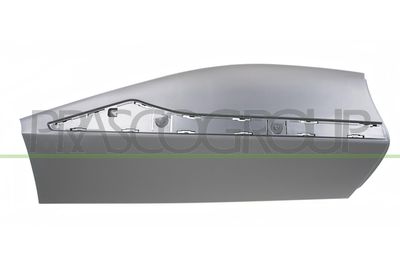 ZIER-/SCHUTZLEISTE TüR