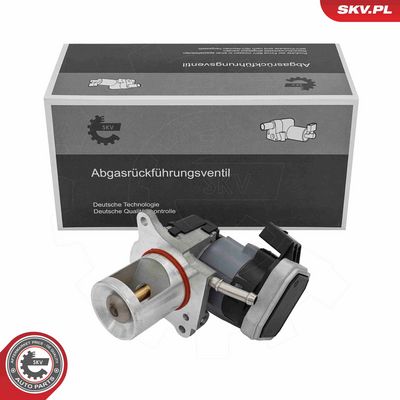 AGR-Ventil ESEN SKV 14SKV310