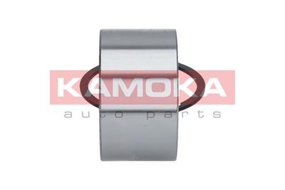 Wheel Bearing Kit 5600030