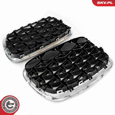 GRILA RADIATOR ESEN SKV 66SKV293 4