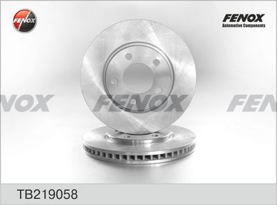 FENOX TB219058 Тормозные диски  для DODGE CARAVAN (RG_) 3.8 AWD