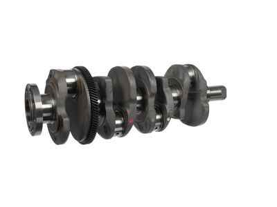 ARBORE COTIT ET ENGINETEAM HK0231 27