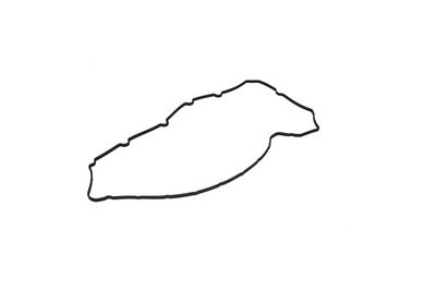 GARNITURA CAPAC SUPAPE