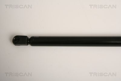AMORTIZOR LUNETA TRISCAN 871015242 1