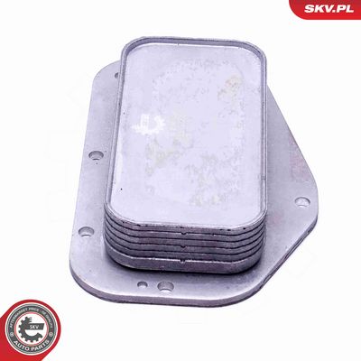 RADIATOR ULEI ULEI MOTOR ESEN SKV 31SKV231 1