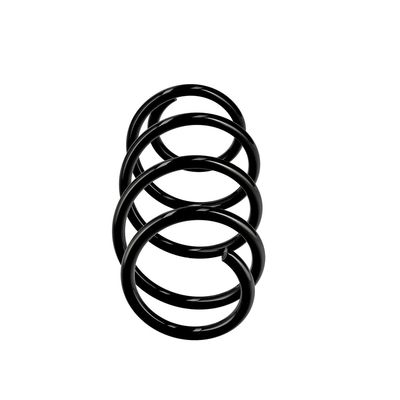 ARC SPIRAL EIBACH R10710 13