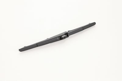 WISCHBLATT CONTINENTAL 2800011536180 11