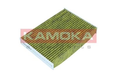 Filter, cabin air 6080160