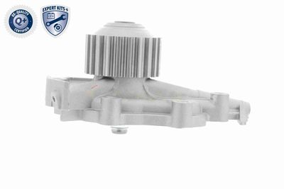 POMPă DE APă RăCIRE MOTOR ACKOJA A510700 6
