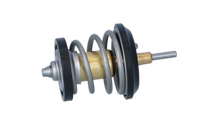 TERMOSTAT LICHID RACIRE NRF 725250 33