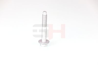 SURUB CAPAT DE AX GH GH392528 25