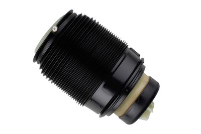 Air Spring, suspension 40-303444