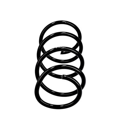 ARC SPIRAL EIBACH R10647 1